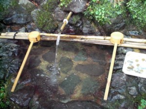 綺麗なお水♪