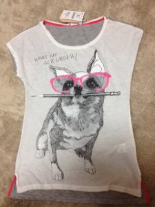 chiwawa:1
